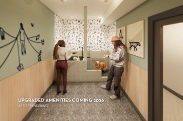 The 1800 at Barrett Lakes - Pet Spa